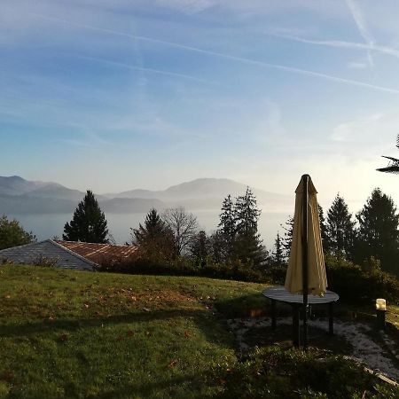Romantica Casetta Nel Verde Con Vista Sul Lago 贝尔吉拉泰 外观 照片