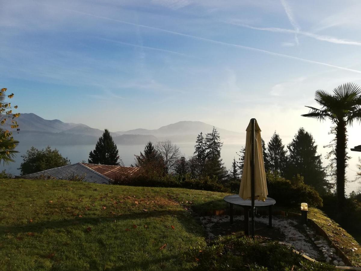Romantica Casetta Nel Verde Con Vista Sul Lago 贝尔吉拉泰 外观 照片