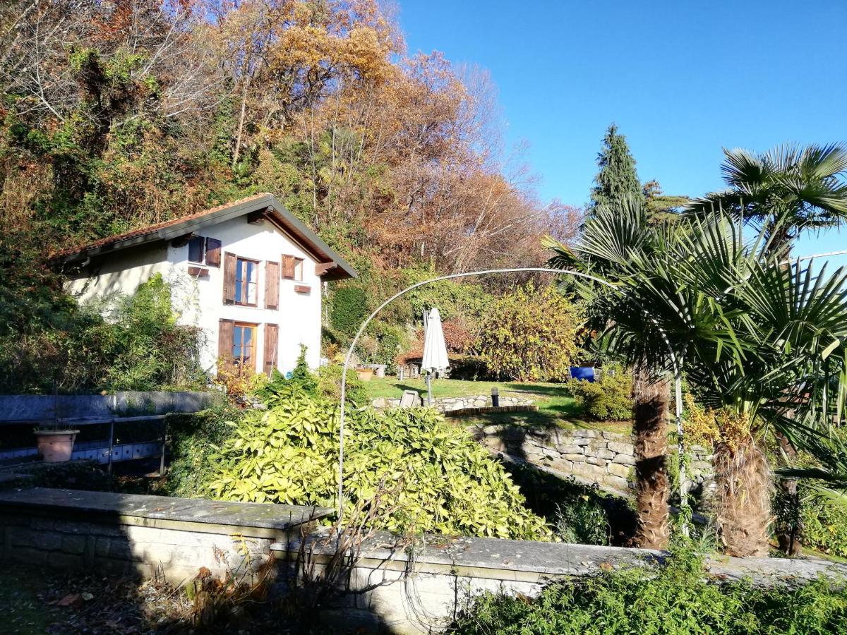 Romantica Casetta Nel Verde Con Vista Sul Lago 贝尔吉拉泰 外观 照片